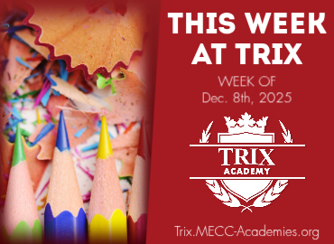  Trix Academy